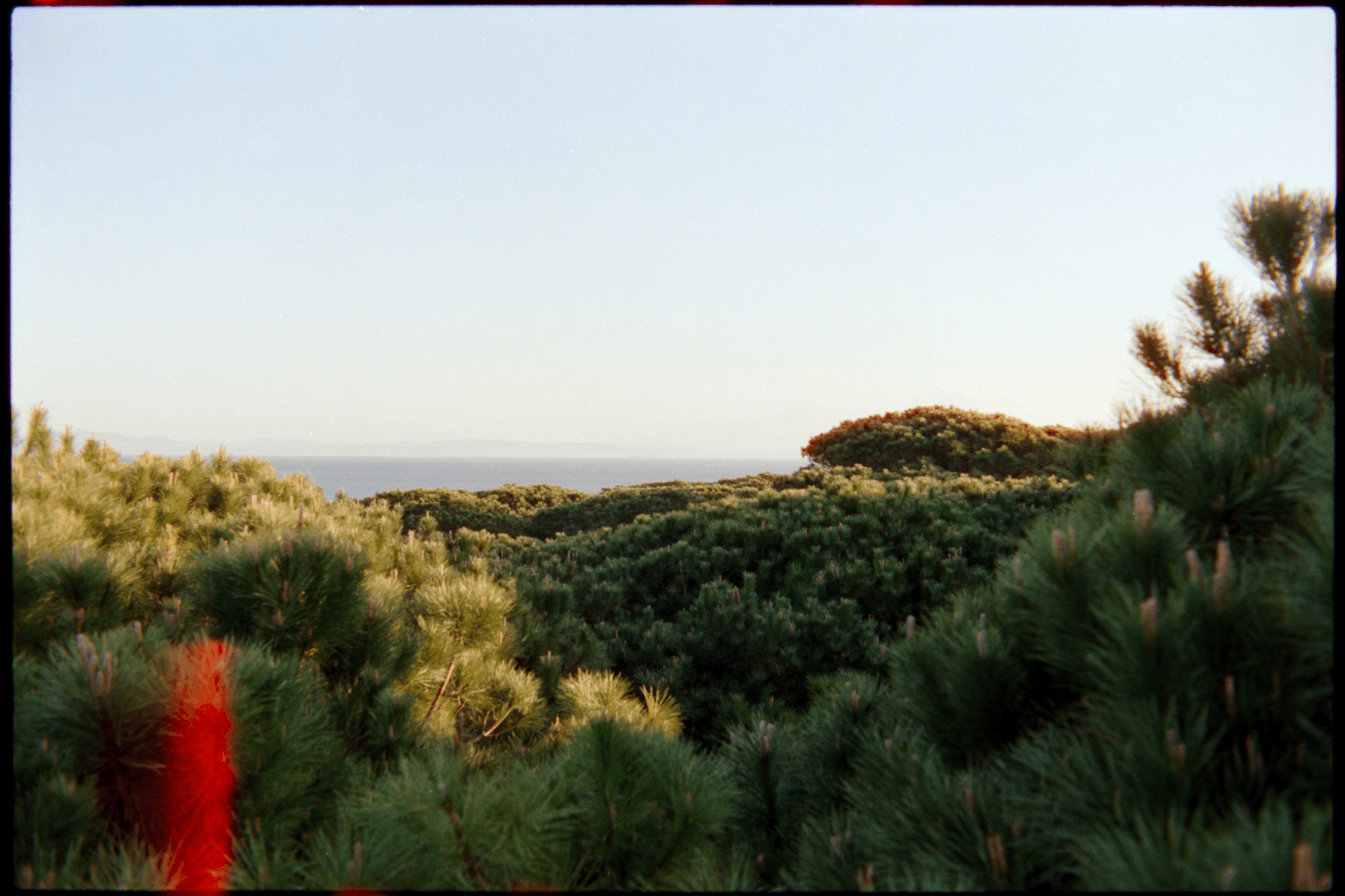Tarifa on Film grid image 5